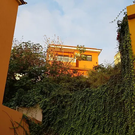 Fantastic House With Mountain And Ocean Views &wifi Los Realejos
